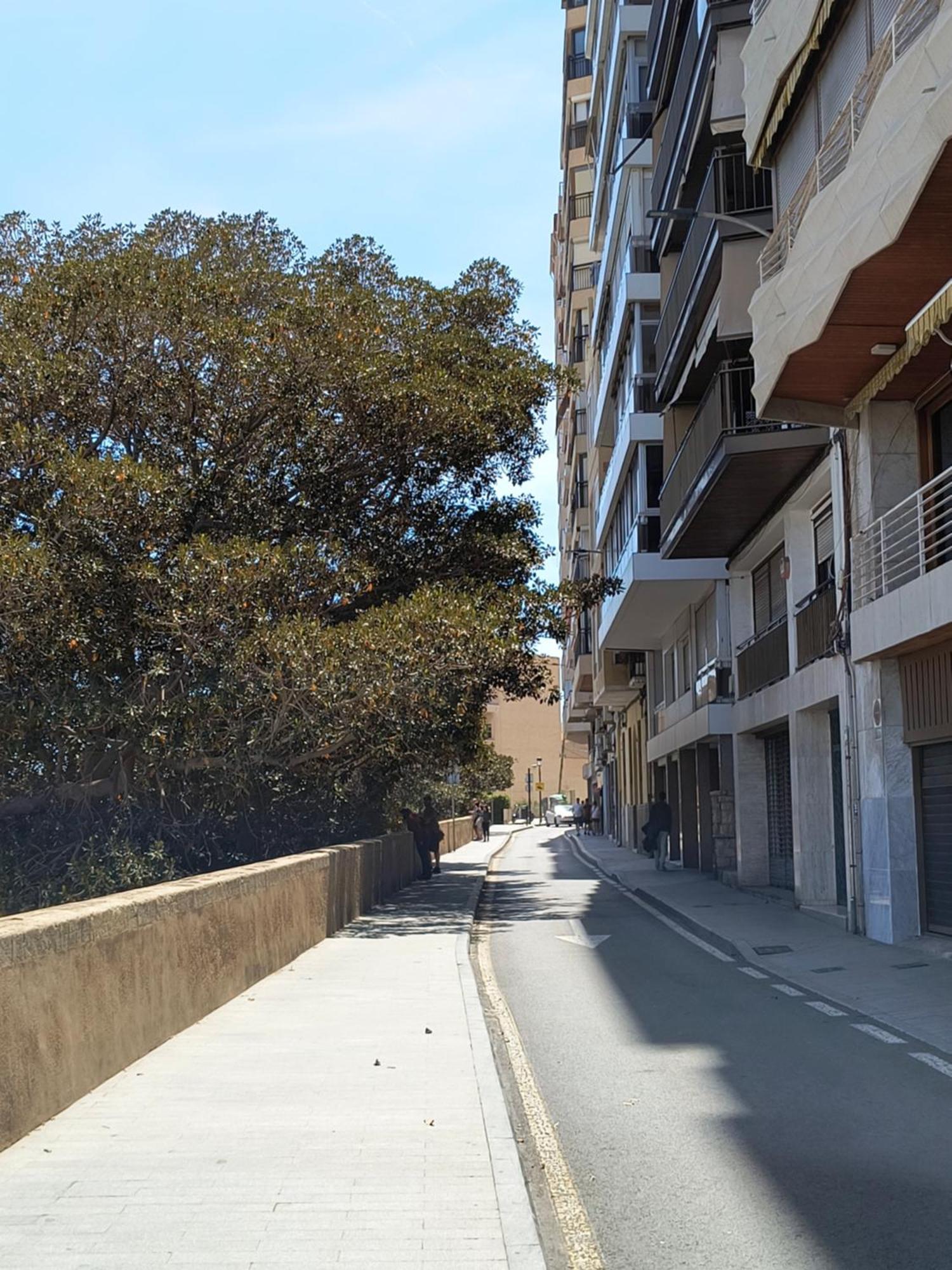 Apartamento Playa Alicante Eksteriør billede