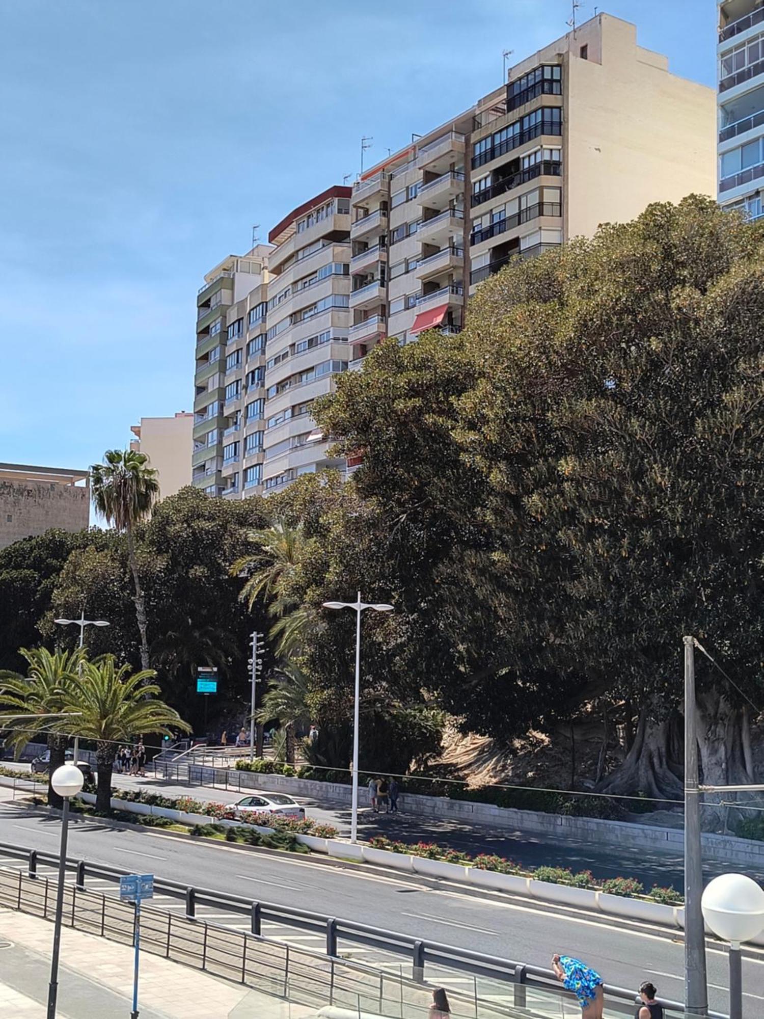 Apartamento Playa Alicante Eksteriør billede